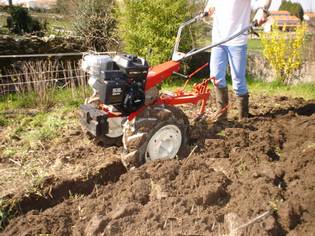 Albi achat vente habitation