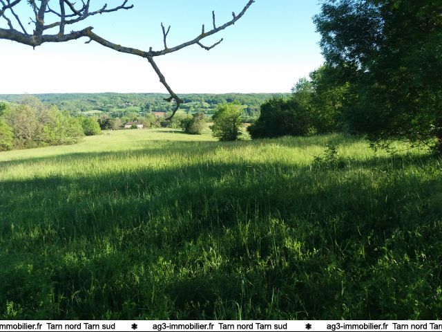 Immobilier Tarn , sur la commune de Puycelsi , beau terrain de 2244 m² avec parcelle constructible. Etude de sol G1 faite à vendre