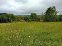 Agence immobilière à Cordes sur Ciel
